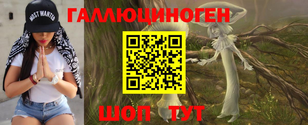 Псилоцибиновые грибы Psilocybe Щёлково