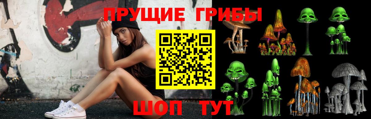 Щёлково  Псилоцибиновые грибы ЛСД  хочу   Вход с VPN 